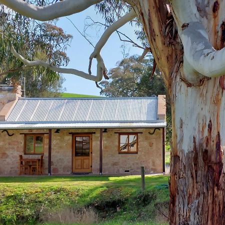 Bed and Breakfast Bungaree Station Exterior foto